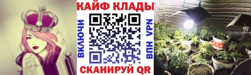 Наркотические вещества Тутаев Гашиш ссылка на мегу онион Амфетамин МЕФ КОКАИН Канабис Псилоцибиновые грибы