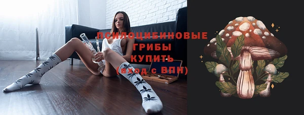 сатива Балахна
