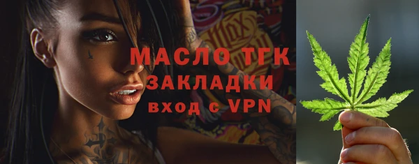 сатива Балахна
