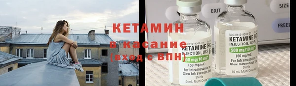 сатива Балахна