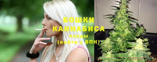 сатива Балахна