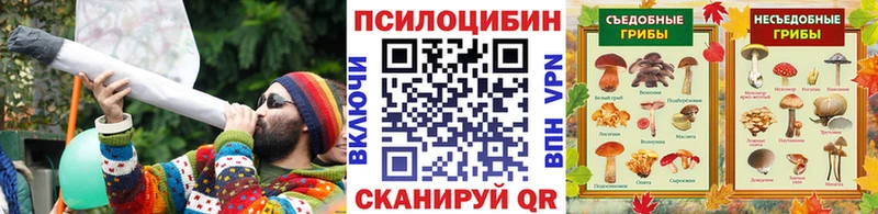 Галлюциногенные грибы мицелий  kraken рабочий сайт  Тутаев 